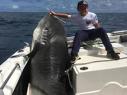 boy catches 314 kg shark fish