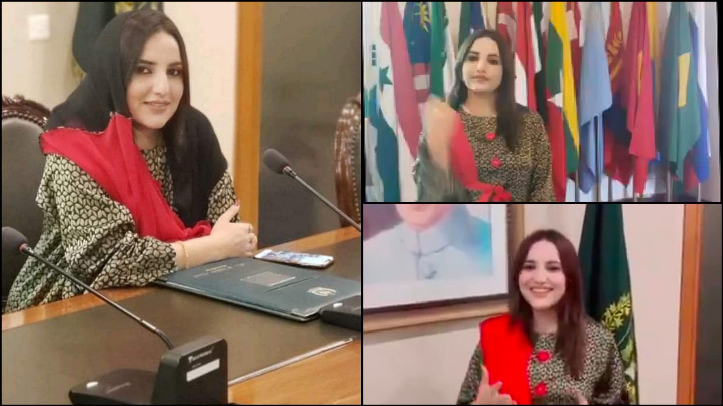 Tiktok star hareem shah viral video