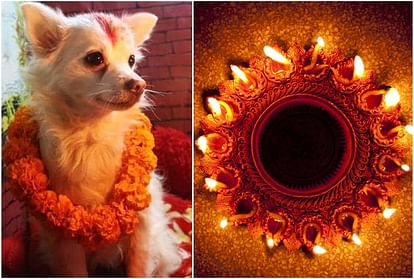 Nepal people worship dog on the occasion of Diwali