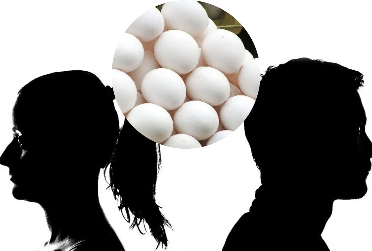 Husband could not feed eggs everyday so wife ran away with her lover