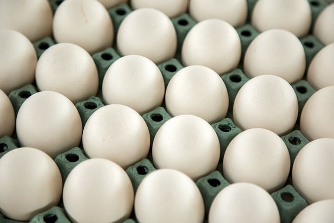 man died after eating 41 eggs because he was challenged by his friend