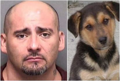 man kills mother's pet dog by violently because mother did not give permission to make relationship
