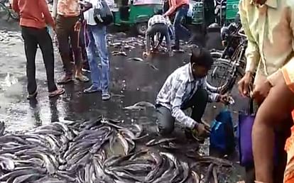 full of fish truck overturns in kanpur crowd start collecting fish and traffic jam will be start