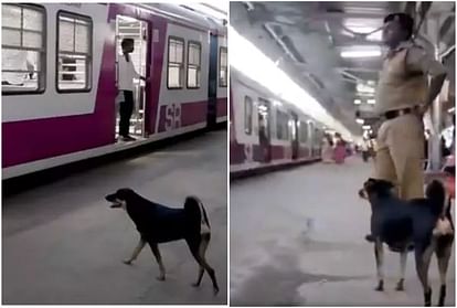 Abandoned Dog join Railway Force Personnel to Warn Commuters Against Footboard Traveling