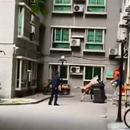 naked man falls from fourth floor of building because lovers husband arrived home