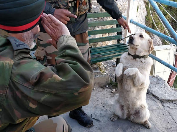 viral photo menaka dog saluting army commander Know story behind it
