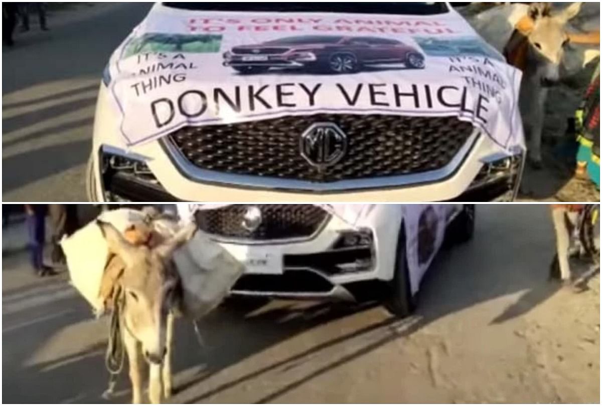 Viral video of mg motors Pulling by Donkey