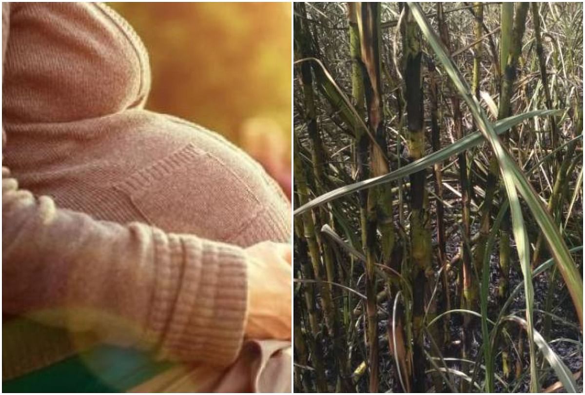 Maharastra Women gives birth to 17th newborn child in sugarcane field