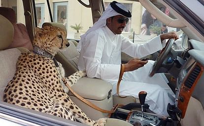 Viral And Trending Photos Of Saudi Arabia And Uae which show their richness
