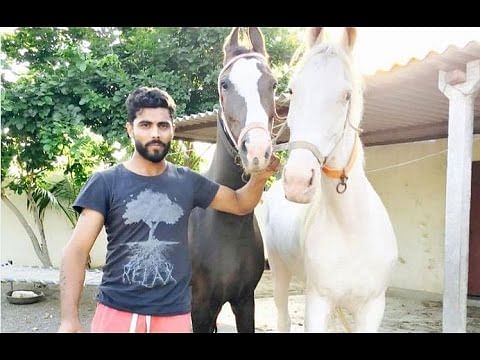 viral video of Ravindra Jadeja horse riding during qurantine
