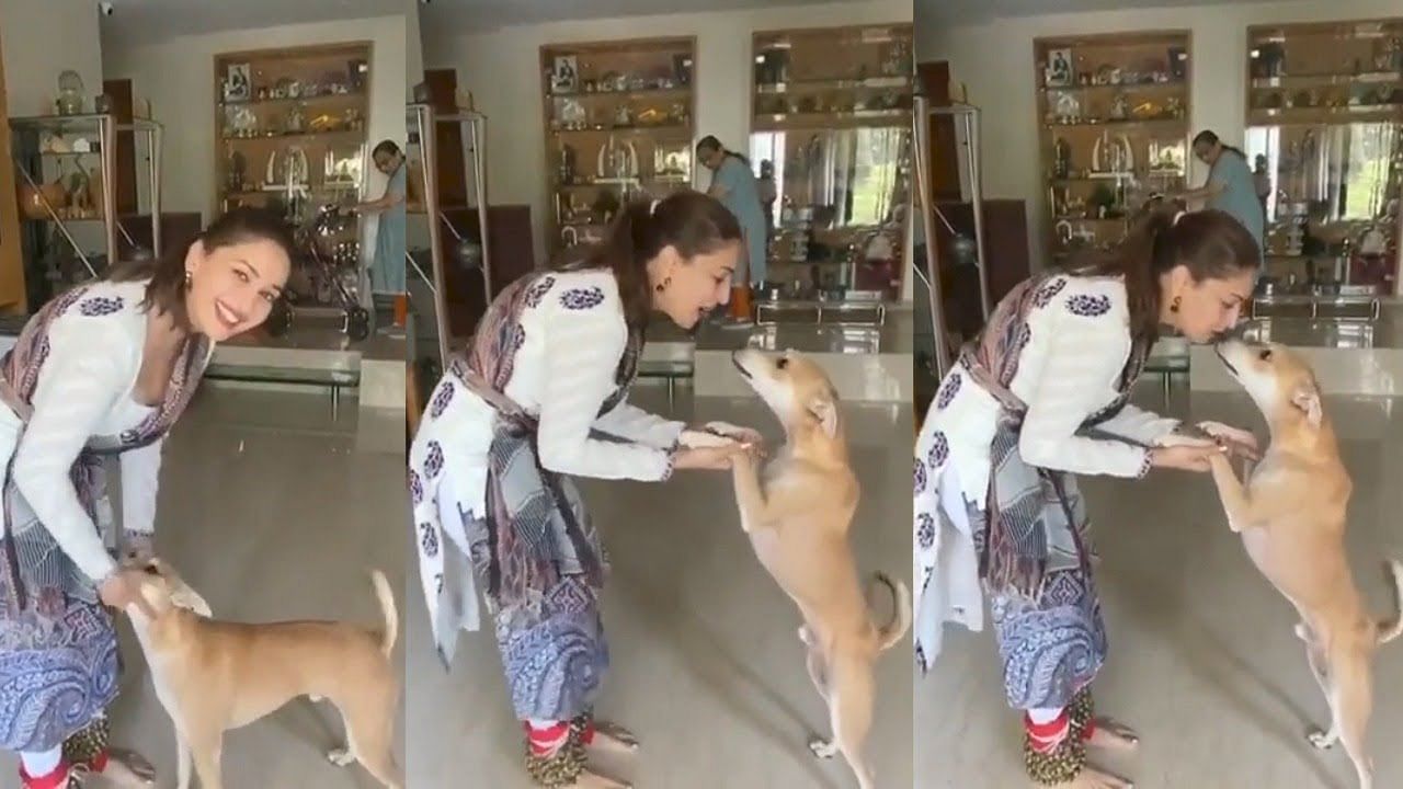 Viral video of madhuri dixit dancing with her dog