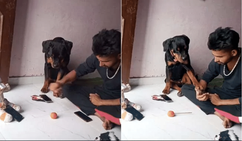 viral video of man trying to cheating with his dog and then happen this