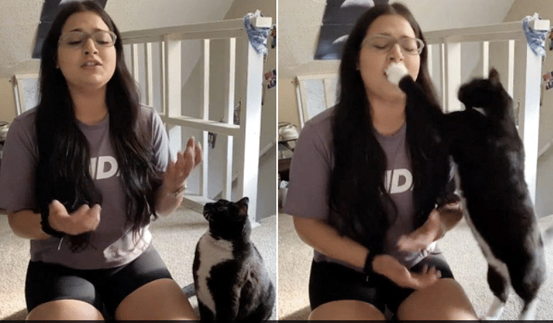 viral video of cat shuts girl singing social media users love their reaction