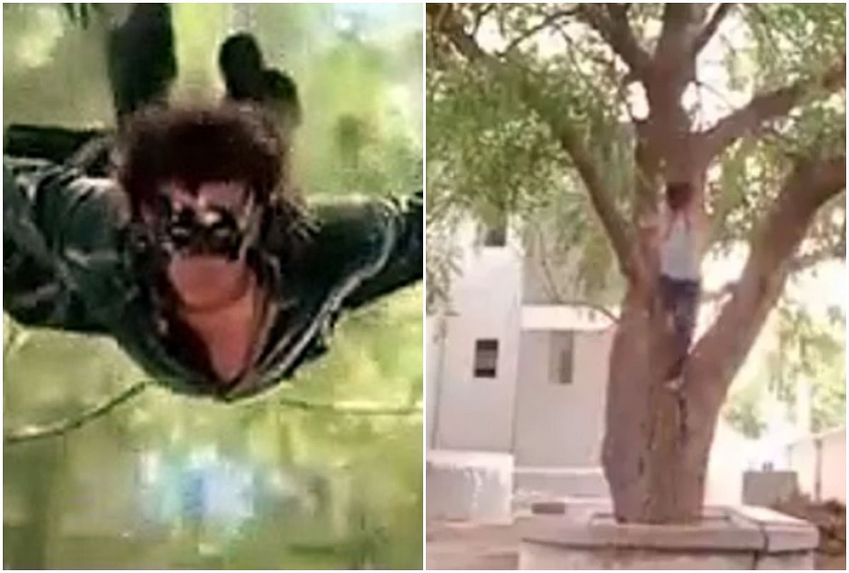 viral video of boy who climb a tree within seconds people give hilarious reaction