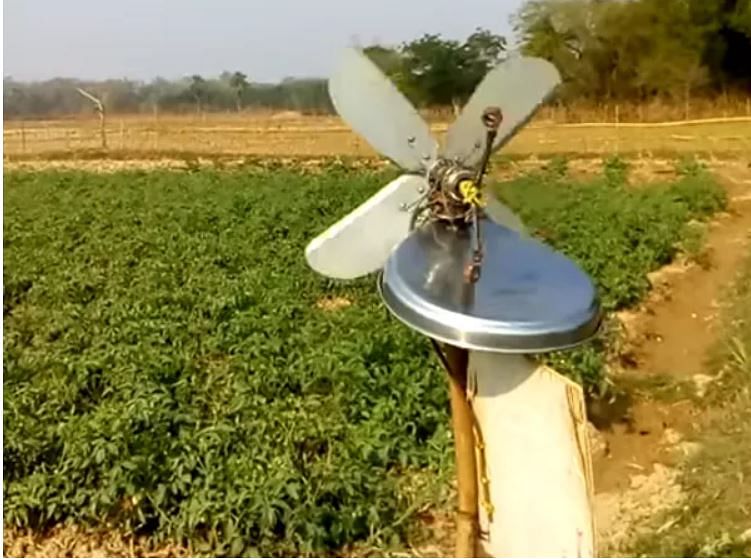farmers use innovative desi jugaad to save crops from tiddi dal and orther insects