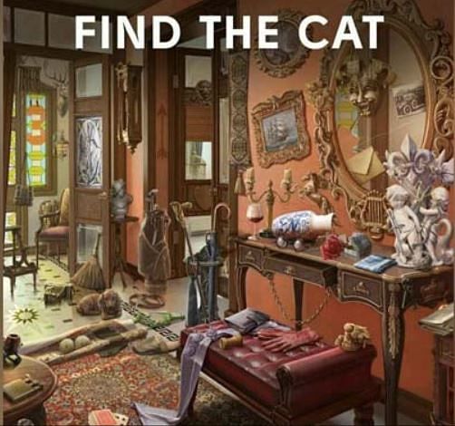cat hidden in this viral picture can you find people did hilrious comment on it