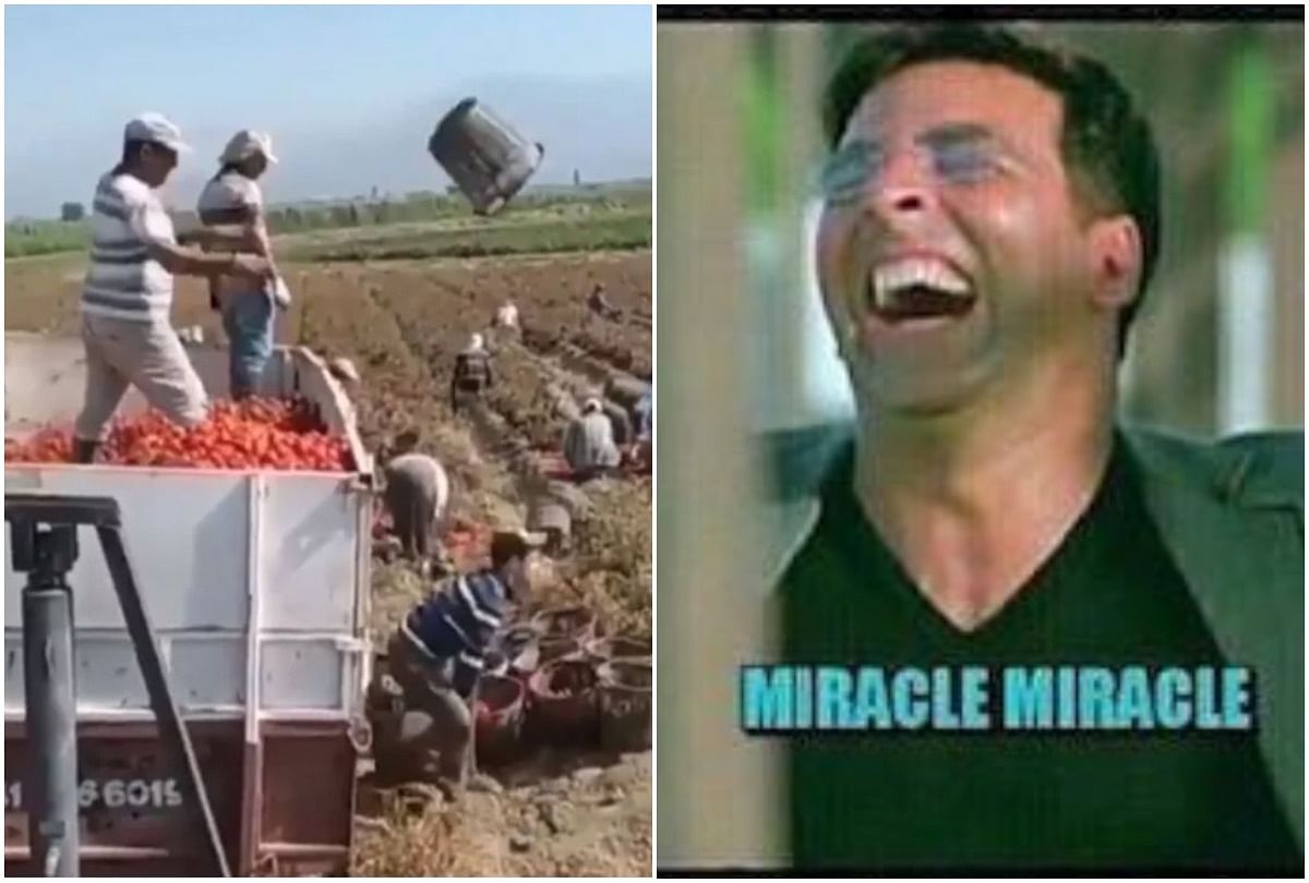 this viral video make you confuse in hard work and smart work people did funny comment on it