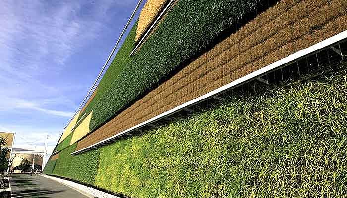know the story of israel vertical farming where crops grows on wall
