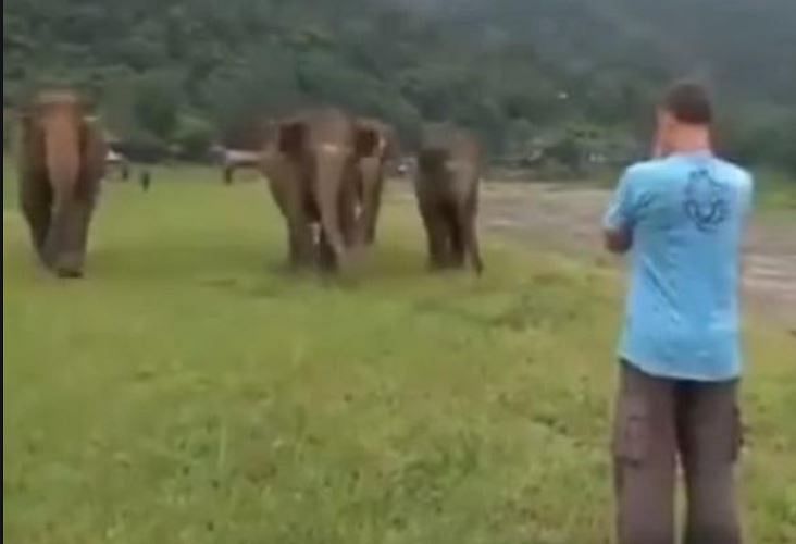Viral video of elephant showing their love to former caretaker people will shock after seeing this video
