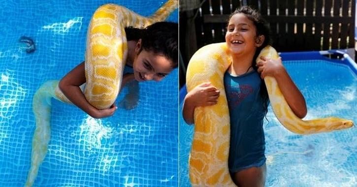 know the story of 8 year old girl who play with 11 feet tall dragon python