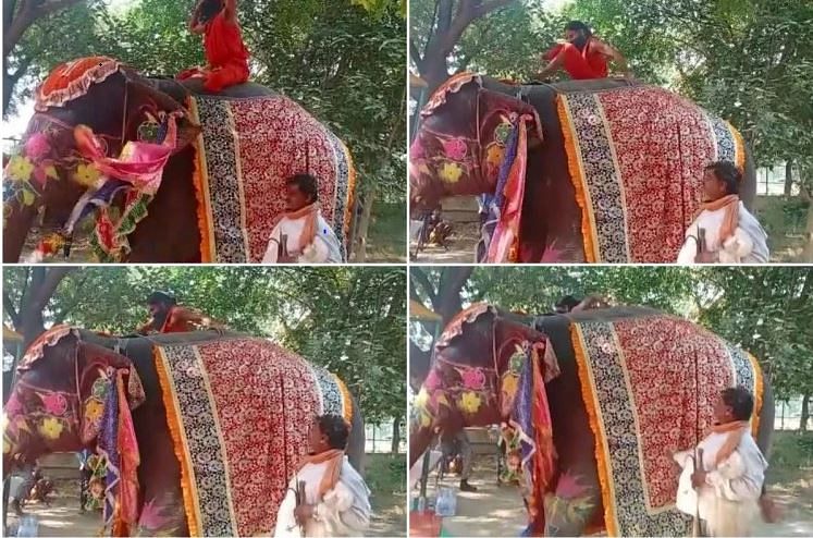 viral video of baba ramdev fell down while doing yoga on elephant people made funny memes on it