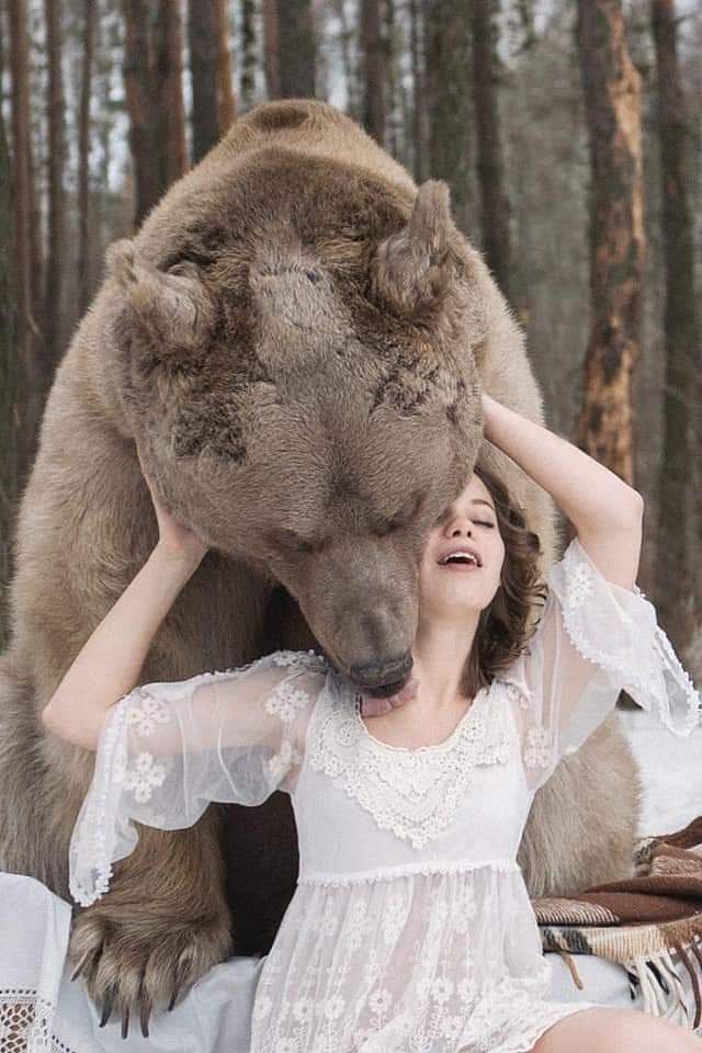 Know the story of russian model brown bear people  Long lines are taken for taking photos