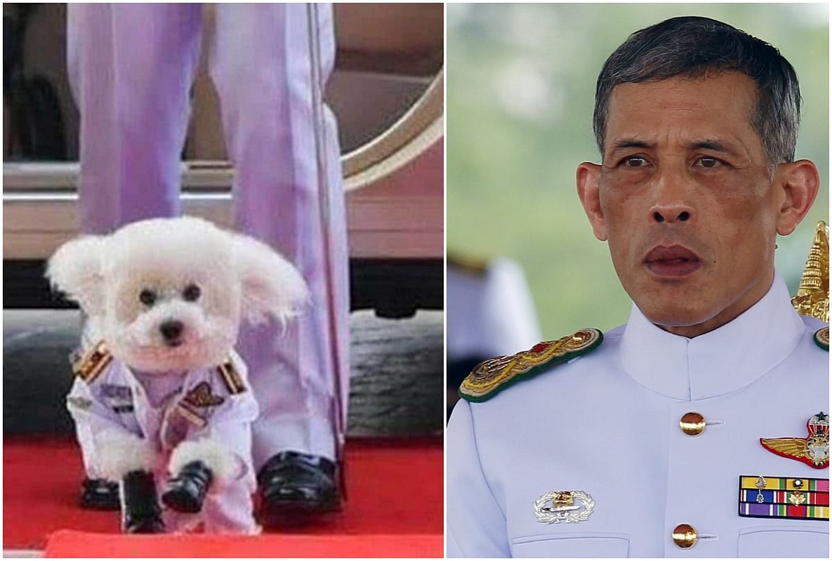 thailand king had made his dog air chief marshal and know his weired habbit