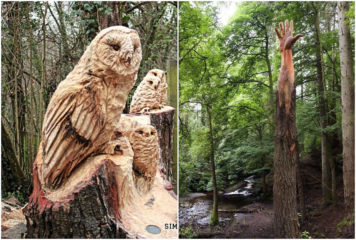 Artist Simon O’Rourke Transform Damaged Tree Into Hand Reaching for the Sk