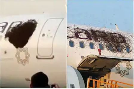 viral video of Honeybees attack on flight in kolkata netaji subhash chandra bose international airport