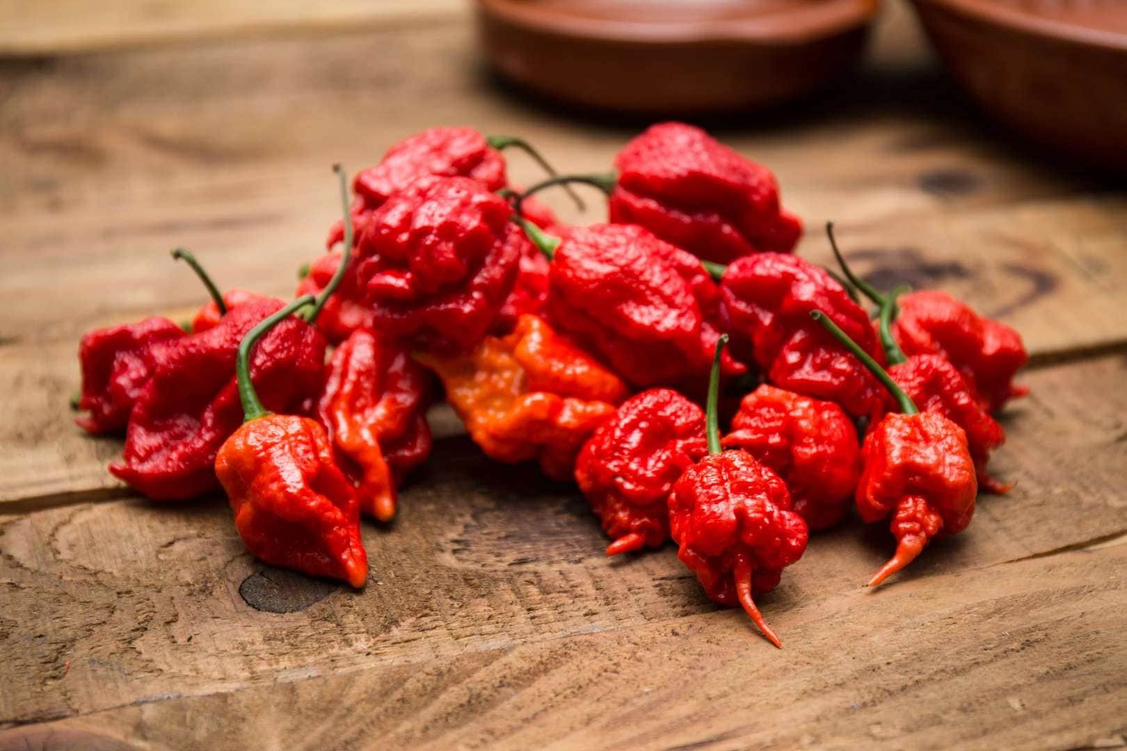 know the story of world hottest chilli Carolina Reaper has recorded in Guinness World Record