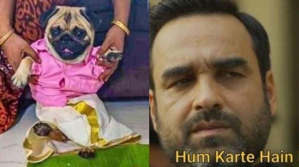 viral image of dog who become groom and owner looking for a perfect match