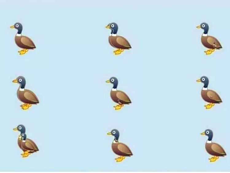 how many ducks see in this pic harsh goenka share this puzzle people give funny answer