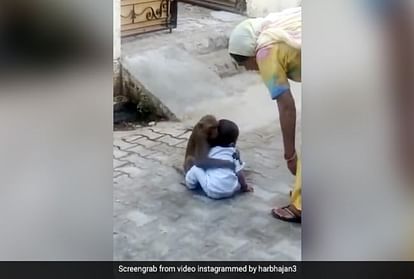 बंदर ने बीच सड़क पर नन्हें बालक को पकड़ा