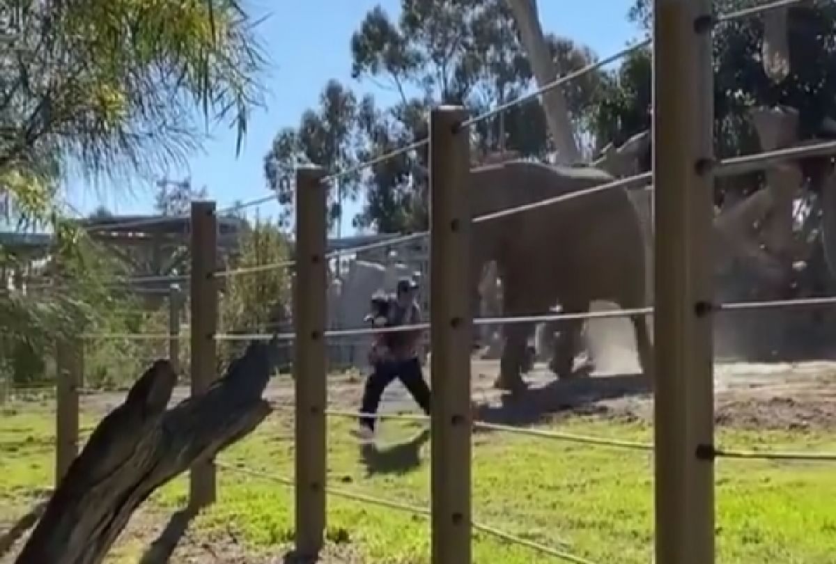 man entered the elephant enclosure with a daughter in his arms for a photo then an angry elephant tried to attack on him