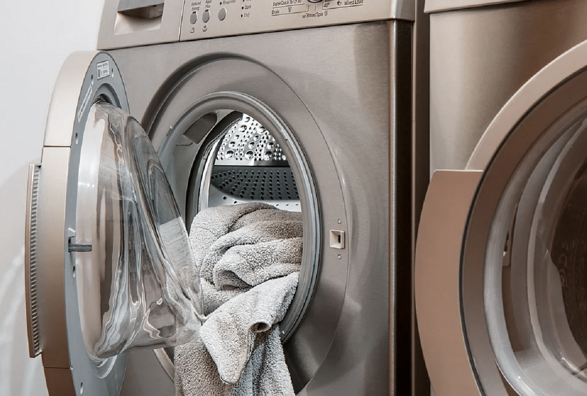 usa florida family finds dead snake inside their washing machine