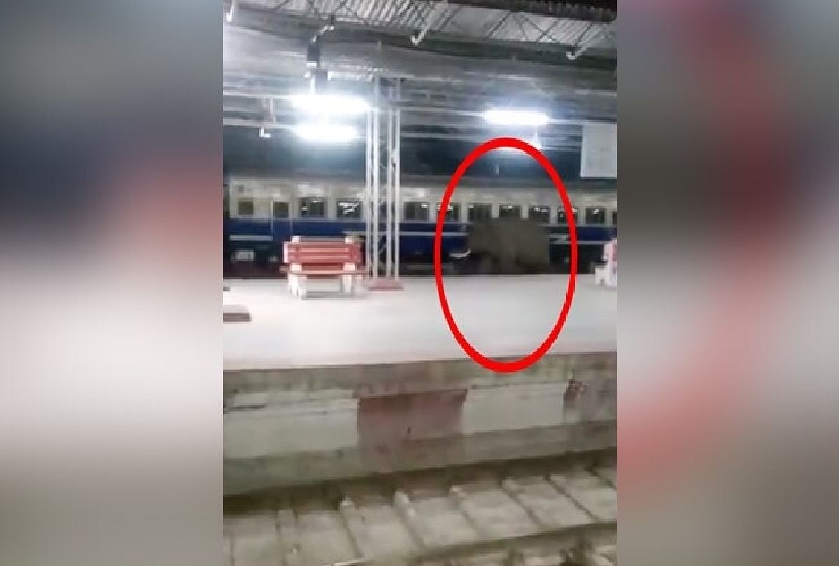 The elephant was seen running on the railway track of train station