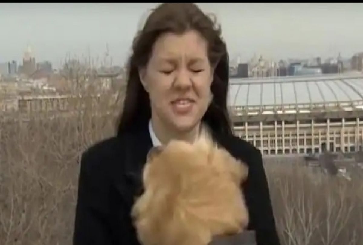 A dog grabbed the reporter's mic and ran away during a live broadcast in russia