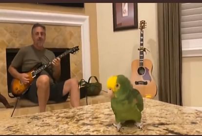 तोता गाना गाते हुए