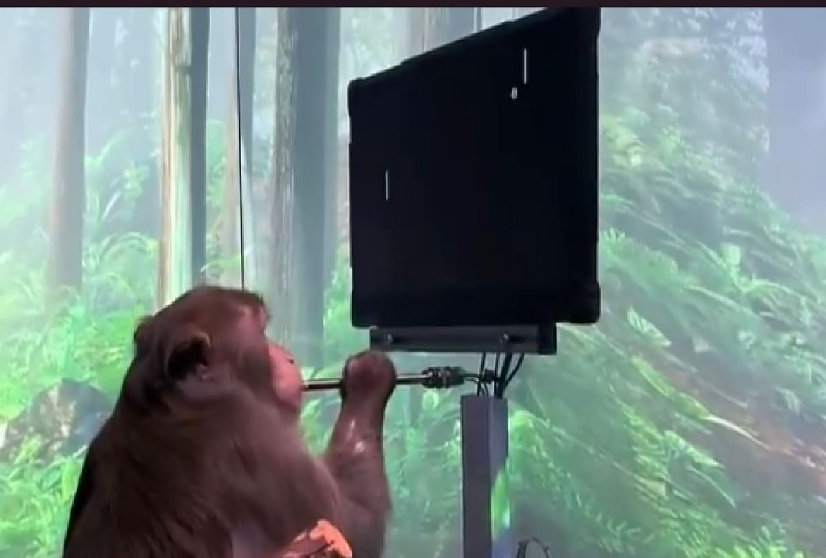 monkey played ping pong game with the help of Neuralink chip