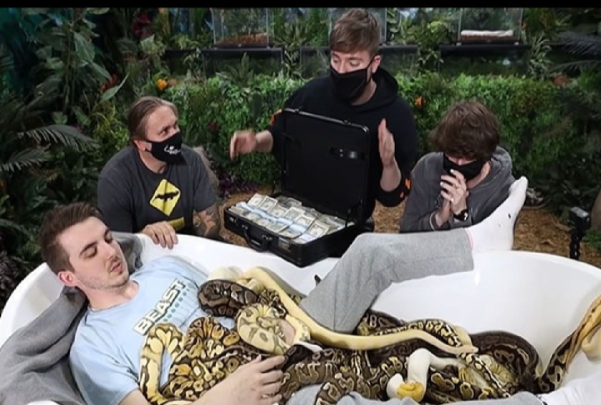 Mrbeast challenge people to sit in a bath tub full of snakes for 10000 dollars