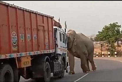 ट्रक पर हमला करते हुए हाथी