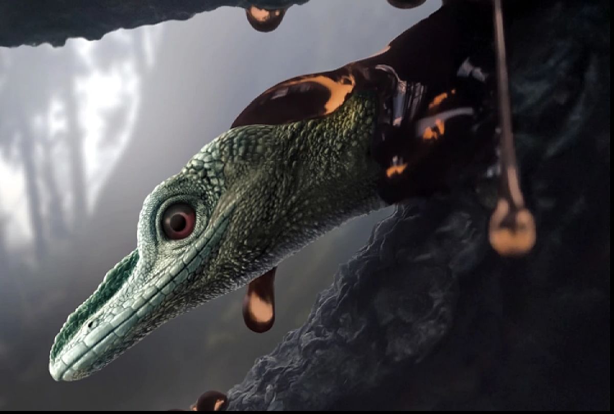 Scientist Found strange weird lizard in Amber Myanmar Whose Characteristic match with Ancient Dinosaur Bird