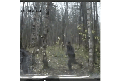 Viral video man kicks tree continuously watch what happened next in the video