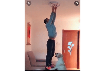 Twitter Social Media Viral video in which Doggy is helping his friend to fix the bulb