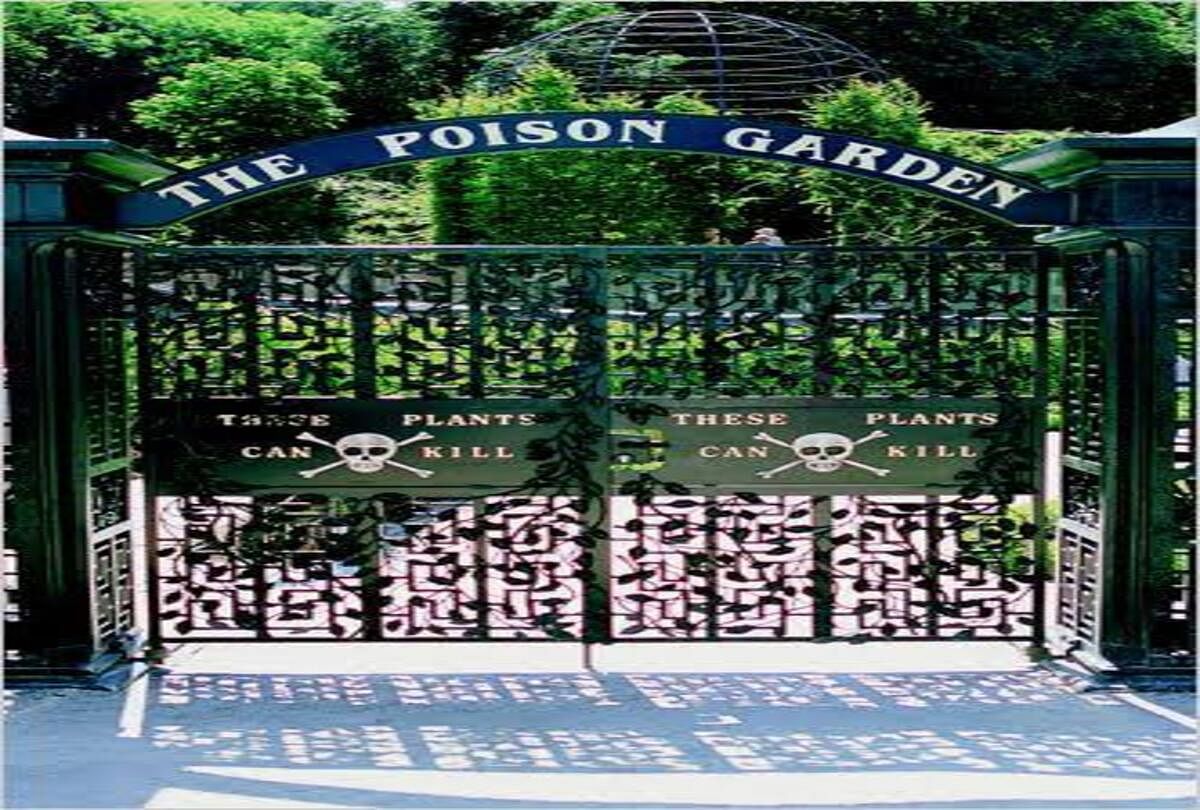 poison garden in northumberland is the worlds deadliest garden plants inside this garden can kill anyone