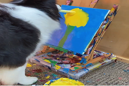 Pet dog makes a flower using paintbrush on canvas Watch this amazing video