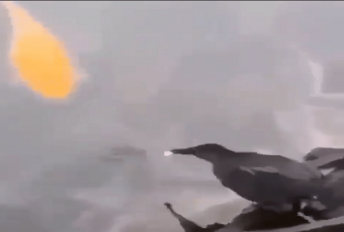 bird who use amazing way to catch the fish people were shocked after watching this Viral video