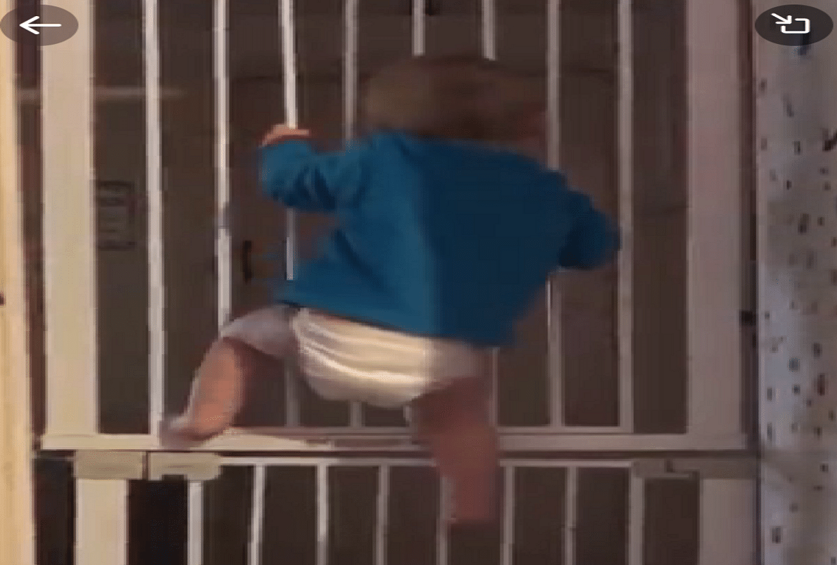 viral video of kid climbing gate very easily people were shocked to see it