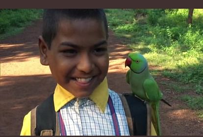 Parrot and children friend