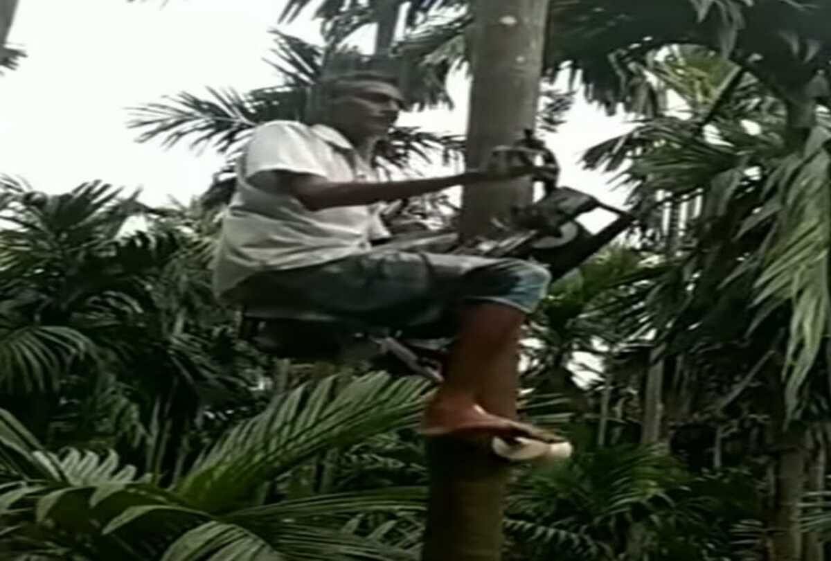 desi jugad a man climbs a tree without putting hand Watch the video